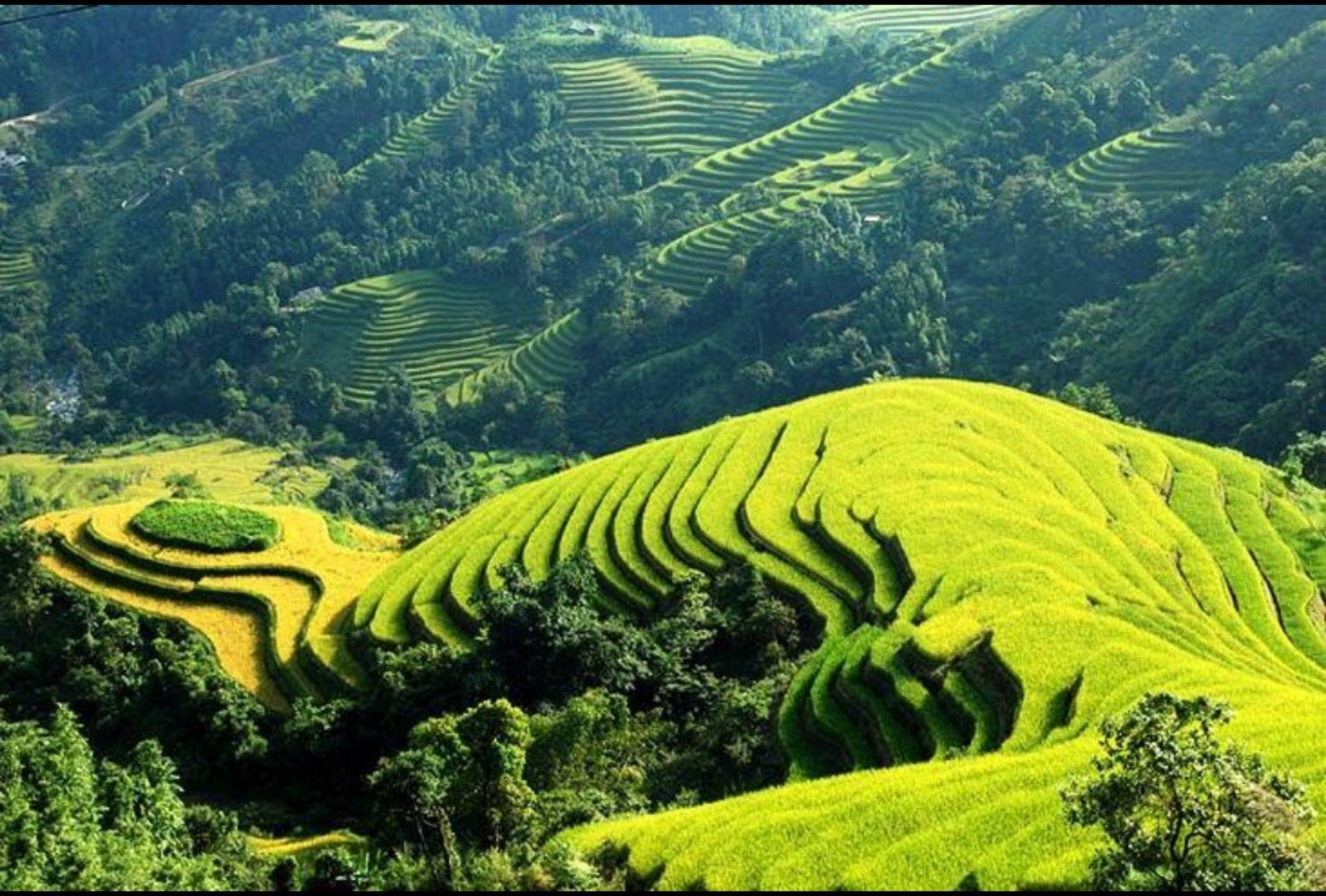 Hanoi - Sapa Daily Departure 03days 02days