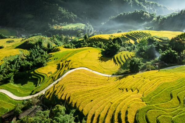 Hà Nội - Mù Cang Chải - Sapa - Lai Châu - Điện Biên - Sơn La - Mộc Châu - Mai Châu