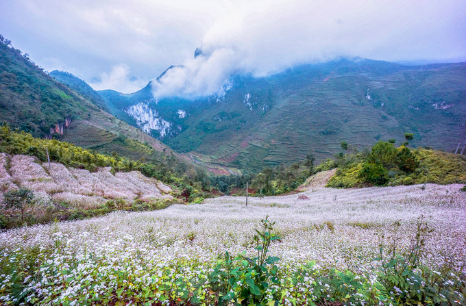 Tour Hà giang Hùng Vĩ 3 ngày 2 đêm