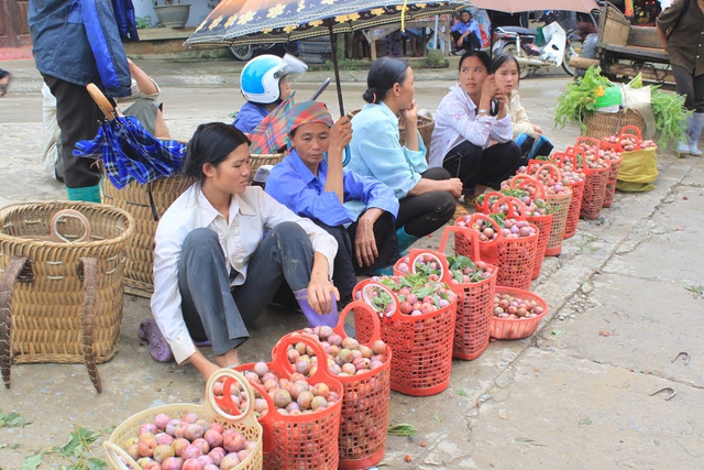 Trọn gói Tour riêng Hà Nội - Sa Pa - Cát Cát - Hàm Rồng - Fanxipan 3 ngày 2 đêm