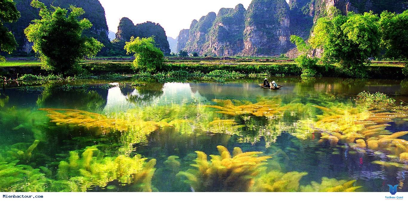 Hoa Lu - Tam Coc 01day trip