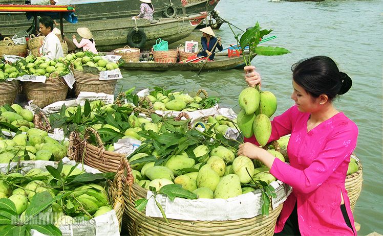 Tour miền Tây 4ngày3đêm khởi hành 31/8